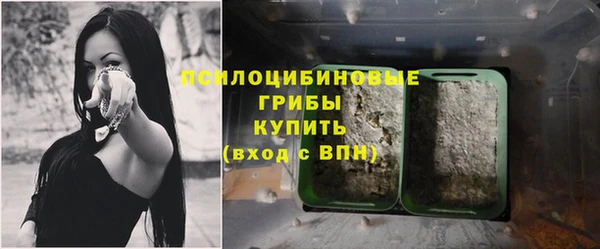 ешки Балахна