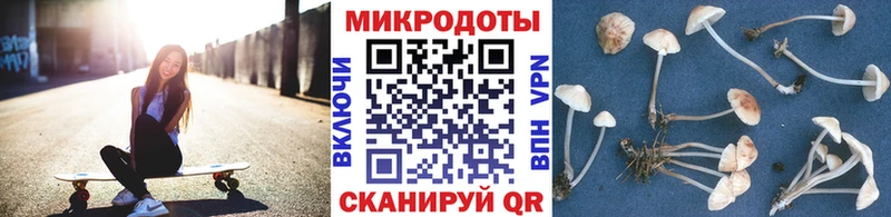 магазин продажи наркотиков  Бирск  Псилоцибиновые грибы Psilocybine cubensis 