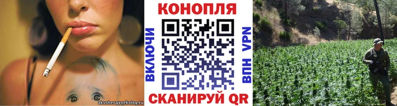 Конопля White Widow  гидра вход  Бирск  цена наркотик 